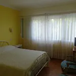 Apartament Le Panoramic