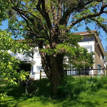 Apartment Le Panoramic