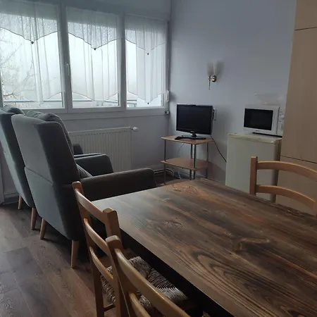 Le Panoramic Apartment Bains-les-Bains