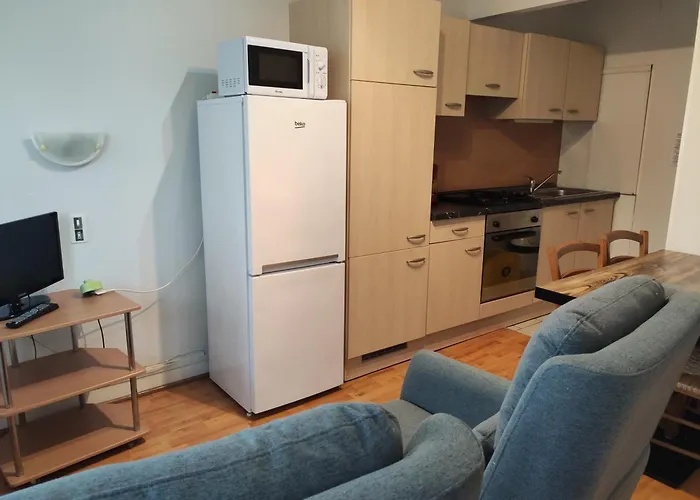 Lägenhet Le Panoramic Bains-les-Bains